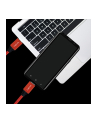Kabel USB 2.0 LogiLink CU0155 USB-C - USB-C, M/M, czerwony, 0,3m - nr 15