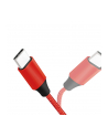 Kabel USB 2.0 LogiLink CU0155 USB-C - USB-C, M/M, czerwony, 0,3m - nr 6