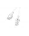 Patchcord Lanberg UTP kat.6 0,5m biały - nr 3