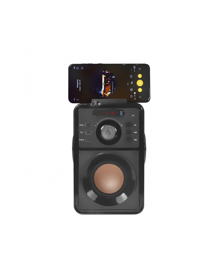 Vakoss Bezprzewodowy Głośnik Bluetooth SP-2920BK 15W, USB, FM, microSD, EQ główny