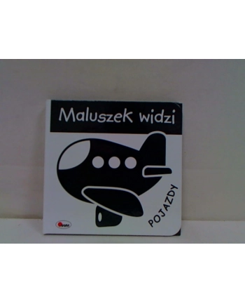 morex Książka Maluszek widzi Pojazdy