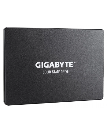 GIGABYTE SSD 256GB Solid State Drive (black, SATA 6 Gb / s, 2.5 '')