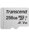 Transcend 300S 256 GB microSDXC, memory card (UHS-I U3, Class 10, V30, A1) - nr 19
