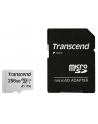 Transcend 300S 256 GB microSDXC, memory card (UHS-I U3, Class 10, V30, A1) - nr 27