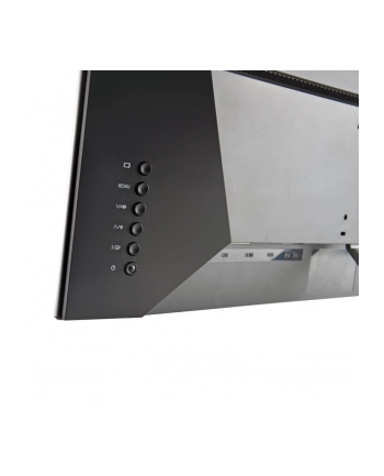 Hannspree HS 329 PQR - 31.5 - LED (silver, QHD, AD-IPS, HDMI, DisplayPort)