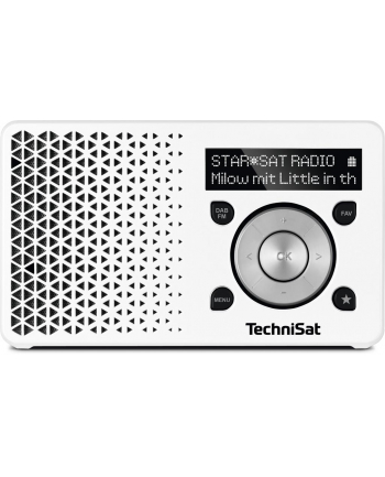 TechniSat DIGITRADIO 1 white / silver