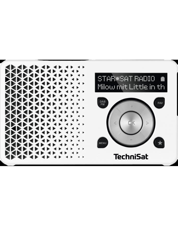 TechniSat DIGITRADIO 1 white / silver główny