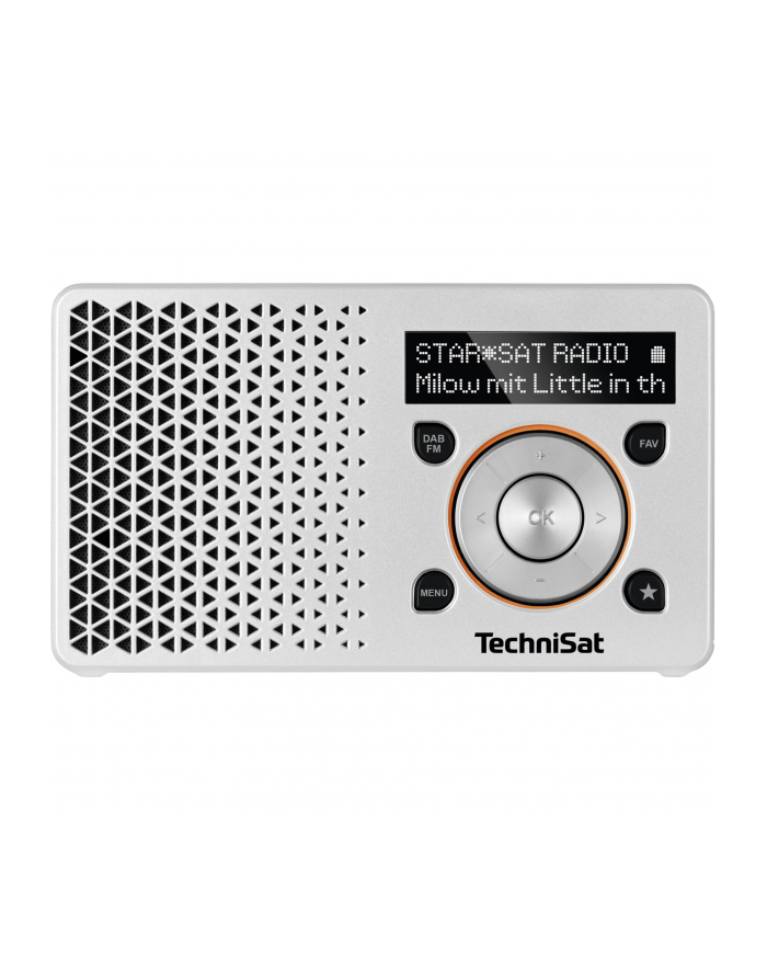 TechniSat DIGITRADIO 1 silver / orange główny