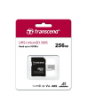Transcend 300S 256 GB microSDXC, memory card (UHS-I U3, Class 10, V30, A1) - nr 11
