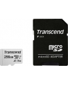 Transcend 300S 256 GB microSDXC, memory card (UHS-I U3, Class 10, V30, A1) - nr 14