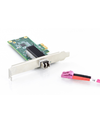Digitus SFP Gigabit Ethernet PCI Express Card 1000SX multimode, LAN Adapter