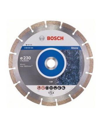 bosch powertools Bosch DIA-TS 230x22,23 Standard For Stone - 2608602601