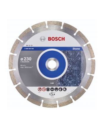 bosch powertools Bosch DIA-TS 230x22,23 Standard For Stone - 2608602601