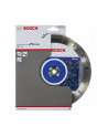 bosch powertools Bosch DIA-TS 230x22,23 Standard For Stone - 2608602601 - nr 4