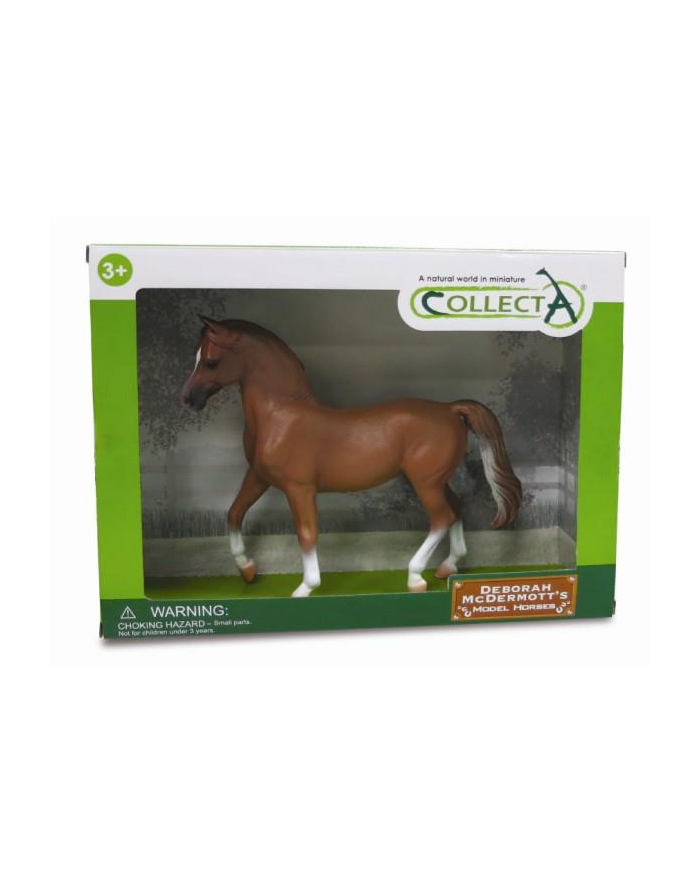 Koń lusitano mare kasztanowy 89884 COLLECTA główny