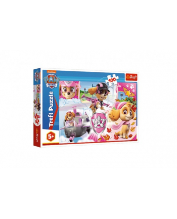 trefl Puzzle 100 SKY W AKCJI PAW PATROL 16368