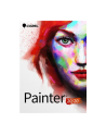 corel Painter 2020 ML Box          PTR2020MLDP - nr 3