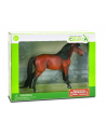 Morgan Bay in Deluxe Window Box 1:12 84047 COLLECTA - nr 1