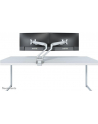 newstar Uchwyt biurkowy podwójny FPMA-D750DSILVER - nr 23