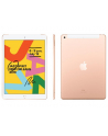 apple iPad 10.2-inch Wi-Fi + Cellular 128GB - Gold - nr 22