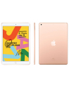 apple iPad 10.2-inch Wi-Fi 32GB - Gold - nr 17