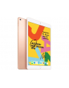 apple iPad 10.2-inch Wi-Fi 32GB - Gold - nr 37