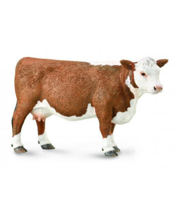 Krowa rasy Hereford 88860 COLLECTA