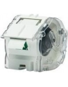 Taśma Brother Continuous Paper Tape 19mm - nr 55