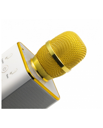 technaxx deutschland gmbh & co. kg Bezprzewodowy mikrofon karaoke złoto-biały Musicman BT-X31