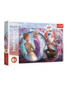 Puzzle 160el Siostrzana przygoda. Disney Frozen II 15374 Trefl - nr 4