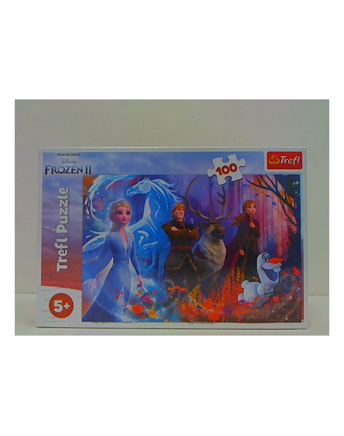 Puzzle 100el Magia Krainy Lodu. Disney Frozen II 16366 Trefl główny