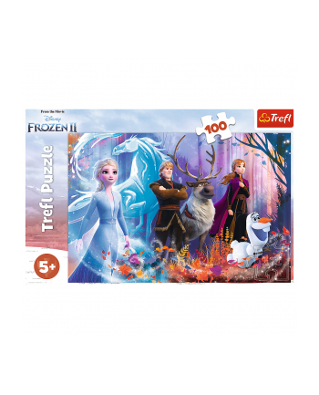 Puzzle 100el Magia Krainy Lodu. Disney Frozen II 16366 Trefl