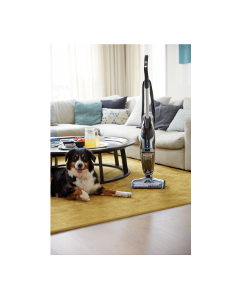 Bissell Pet Cross Wave Pro, wet / dry vacuum cleaner (black / silver)
