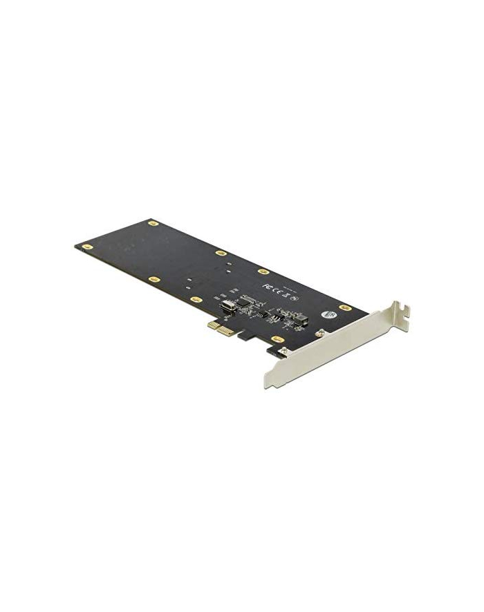 DeLOCK PCIe x1 card for 2x SATA HDD / SSD główny