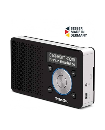 TechniSat DIGITRADIO 1 S (black / silver, FM, DAB / DAB +, RDS)
