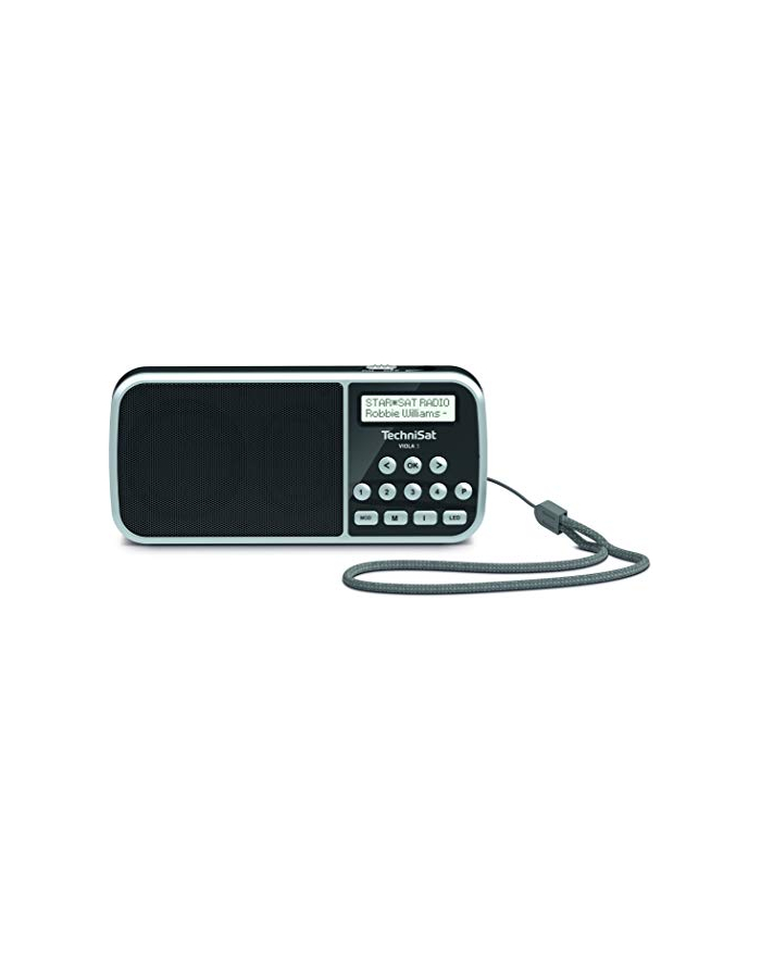 TechniSat VIOLA 3, Radio (Black, FM, DAB +, flashlight, USB) główny