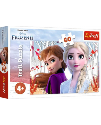 Puzzle 60el. Zaczarowany świat Anny i Elsy / Disney Frozen 2 17333 Trefl