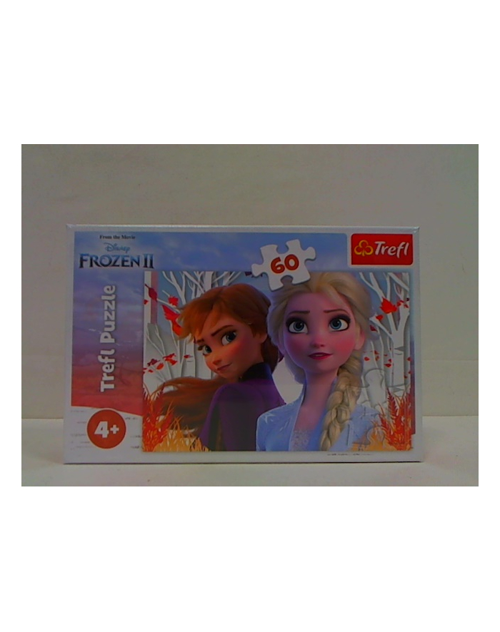 Puzzle 60el. Zaczarowany świat Anny i Elsy / Disney Frozen 2 17333 Trefl główny