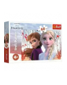 Puzzle 60el. Zaczarowany świat Anny i Elsy / Disney Frozen 2 17333 Trefl - nr 5