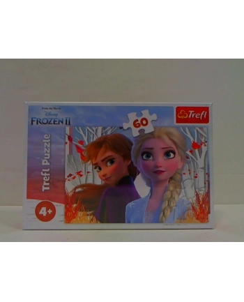 Puzzle 60el. Zaczarowany świat Anny i Elsy / Disney Frozen 2 17333 Trefl