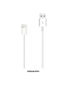 apple Przewód ze złącza Lightning na USB (1 m) - nr 2