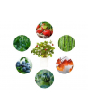 click and grow Click&Grow Kapsułki z nasionami Smart Soil Eksperymentalny 3pak - nr 1