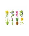 click and grow Click&Grow Kapsułki z nasionami Smart Soil Eksperymentalny 3pak - nr 5