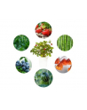 click and grow Click&Grow Kapsułki z nasionami Smart Soil Eksperymentalny 3pak - nr 8