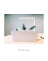 click and grow Click&Grow Kapsułki z nasionami Smart Soil Eksperymentalny 3pak - nr 9
