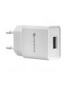 Ładowarka sieciowa everActive SC-100 (USB; kolor biały) - nr 6