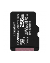 Karta pamięci Kingston Canvas Select Plus SDCS2/256GBSP (256GB; Class 10  Class A1; Karta pamięci) - nr 1