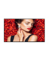 philips Monitor 43BDL4031D 43 cale Public Display 24/7 - nr 1
