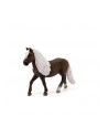 Schleich 13898 Koń szwedzki klacz - nr 1
