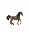 Schleich 13907 Koń arabski ogier - nr 3